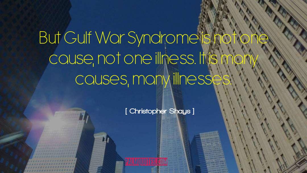 Gulf War quotes by Christopher Shays