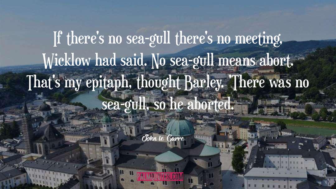 Gull quotes by John Le Carre