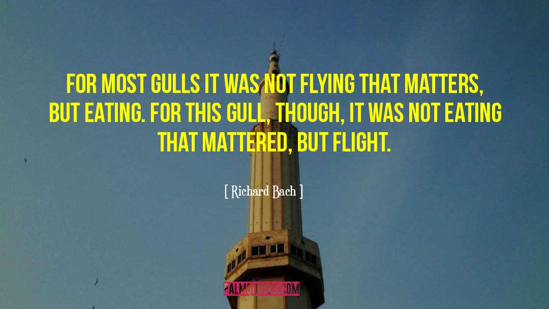 Gull quotes by Richard Bach