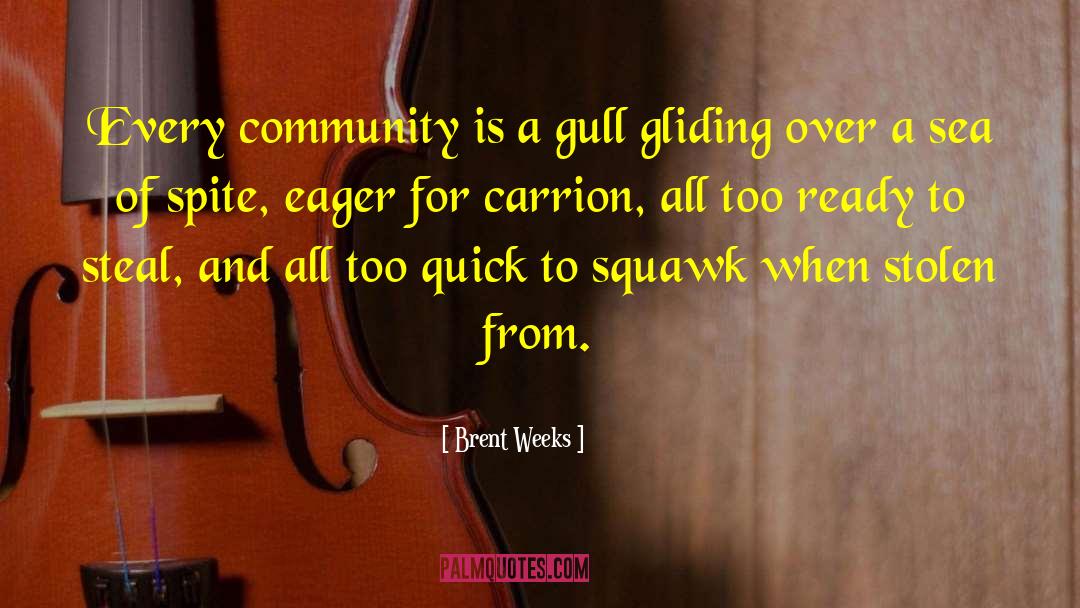 Gull quotes by Brent Weeks