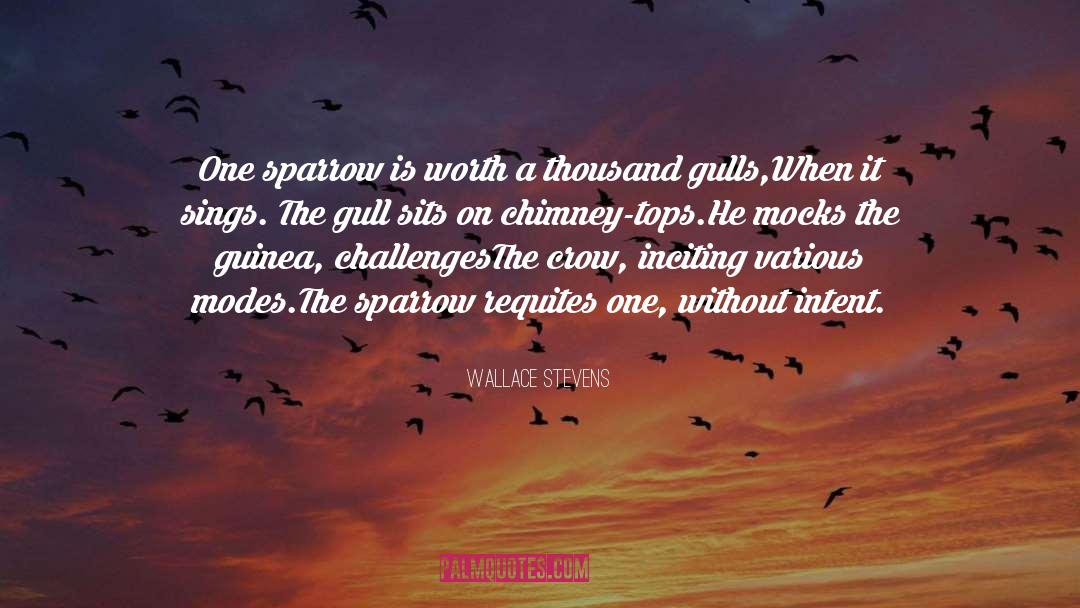 Gull quotes by Wallace Stevens