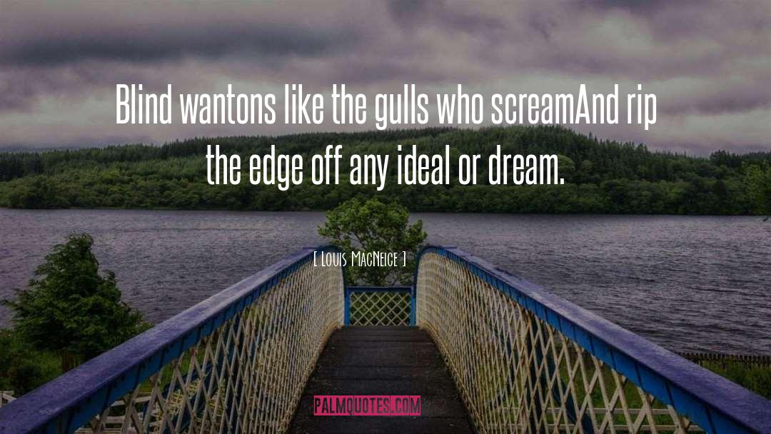 Gulls quotes by Louis MacNeice