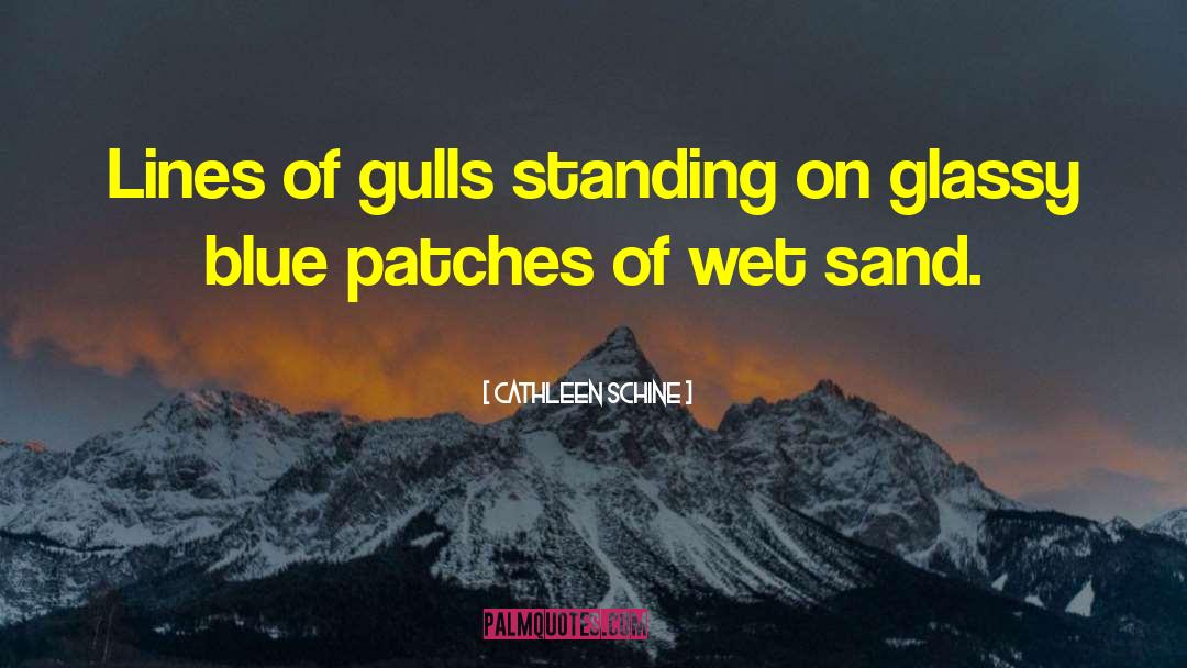 Gulls quotes by Cathleen Schine