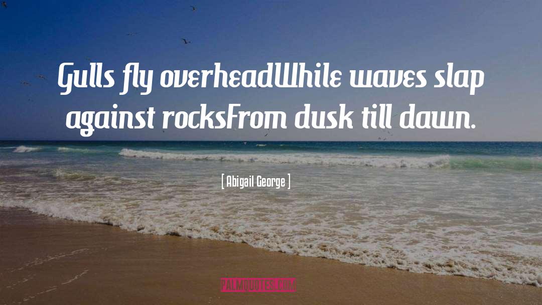 Gulls quotes by Abigail George