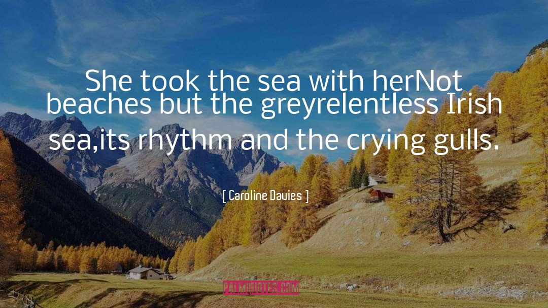 Gulls quotes by Caroline Davies