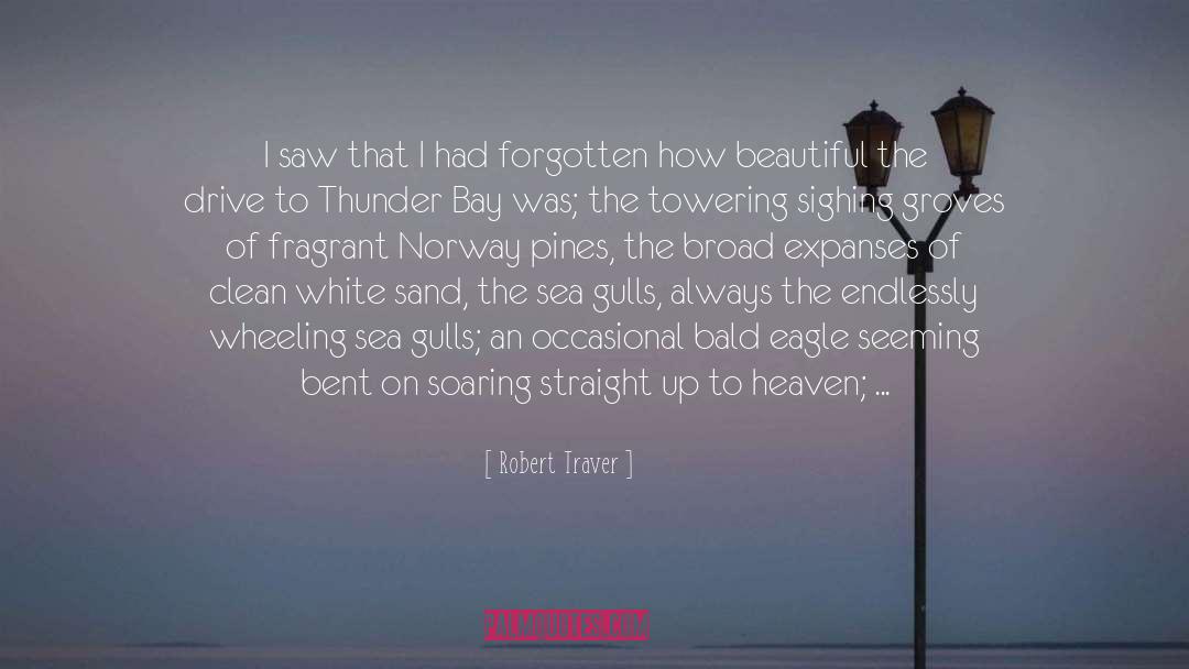 Gulls quotes by Robert Traver