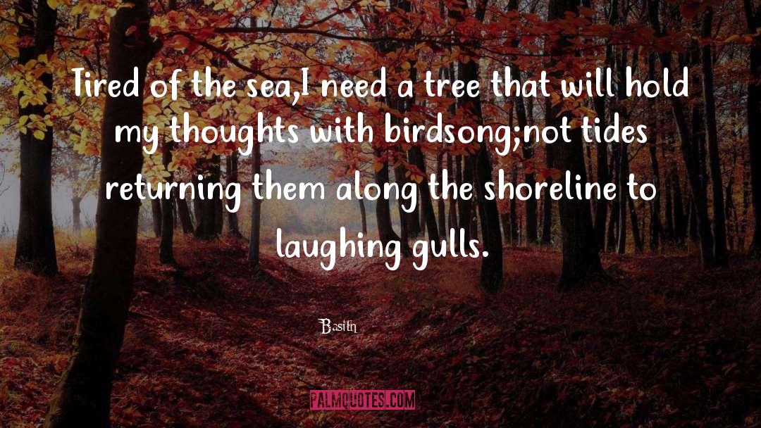 Gulls quotes by Basith