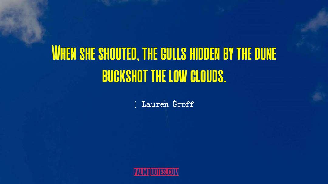 Gulls quotes by Lauren Groff