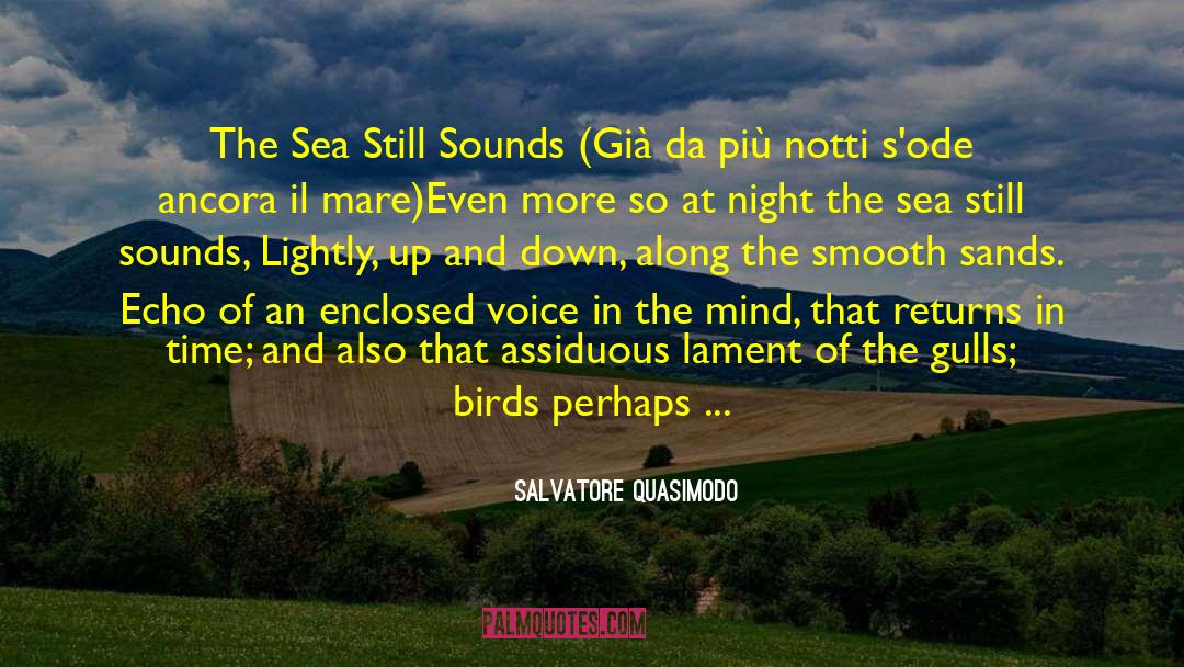 Gulls quotes by Salvatore Quasimodo