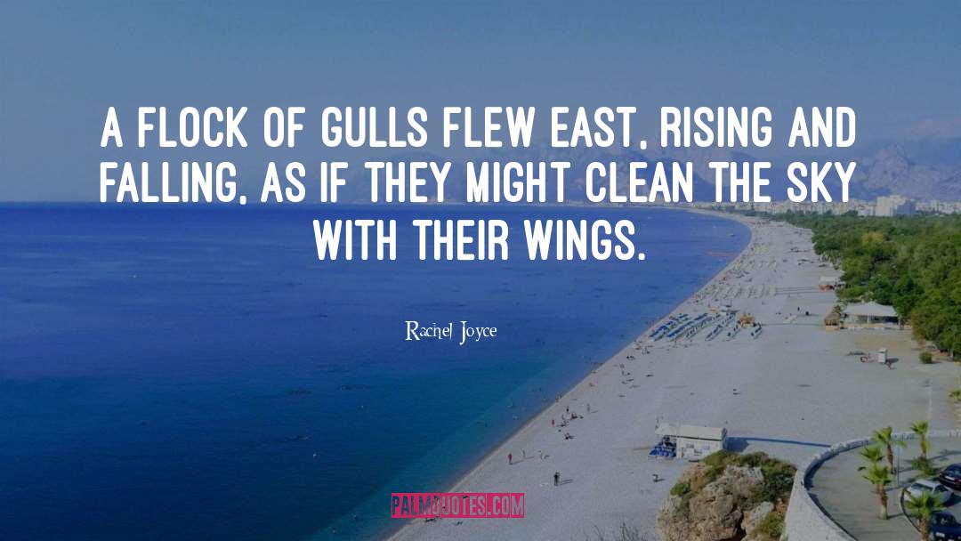 Gulls quotes by Rachel Joyce