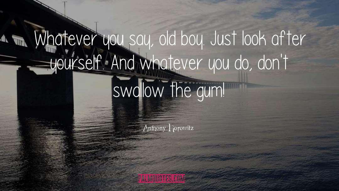 Gum quotes by Anthony Horowitz