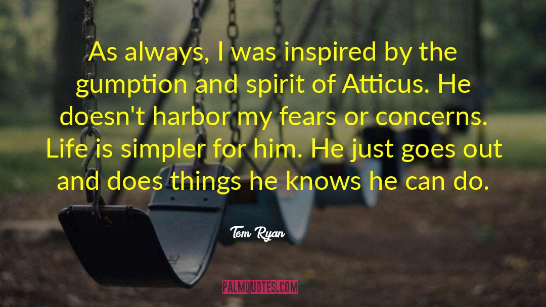 Gumption quotes by Tom Ryan