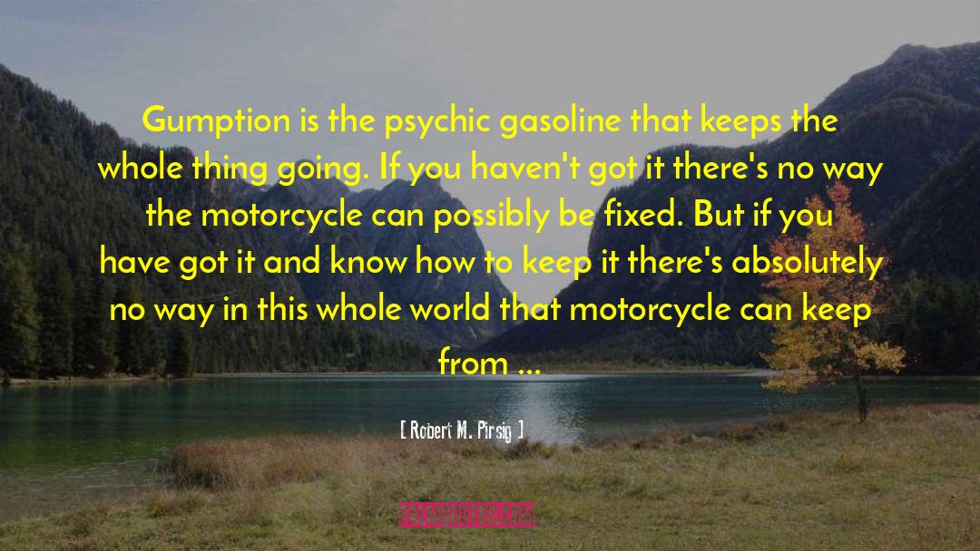 Gumption quotes by Robert M. Pirsig