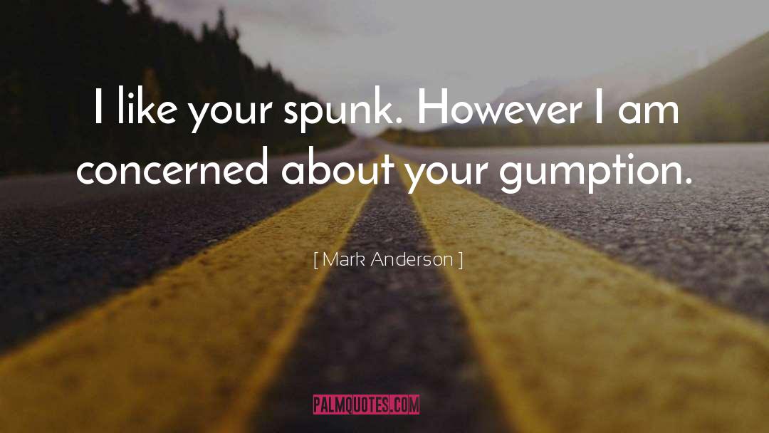 Gumption quotes by Mark Anderson