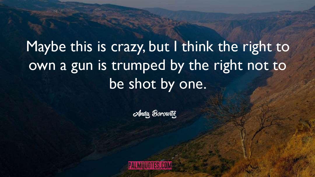 Gun Control quotes by Andy Borowitz