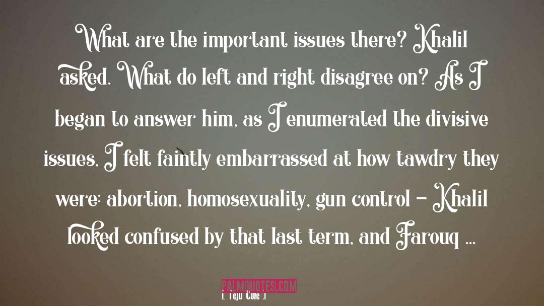 Gun Control quotes by Teju Cole