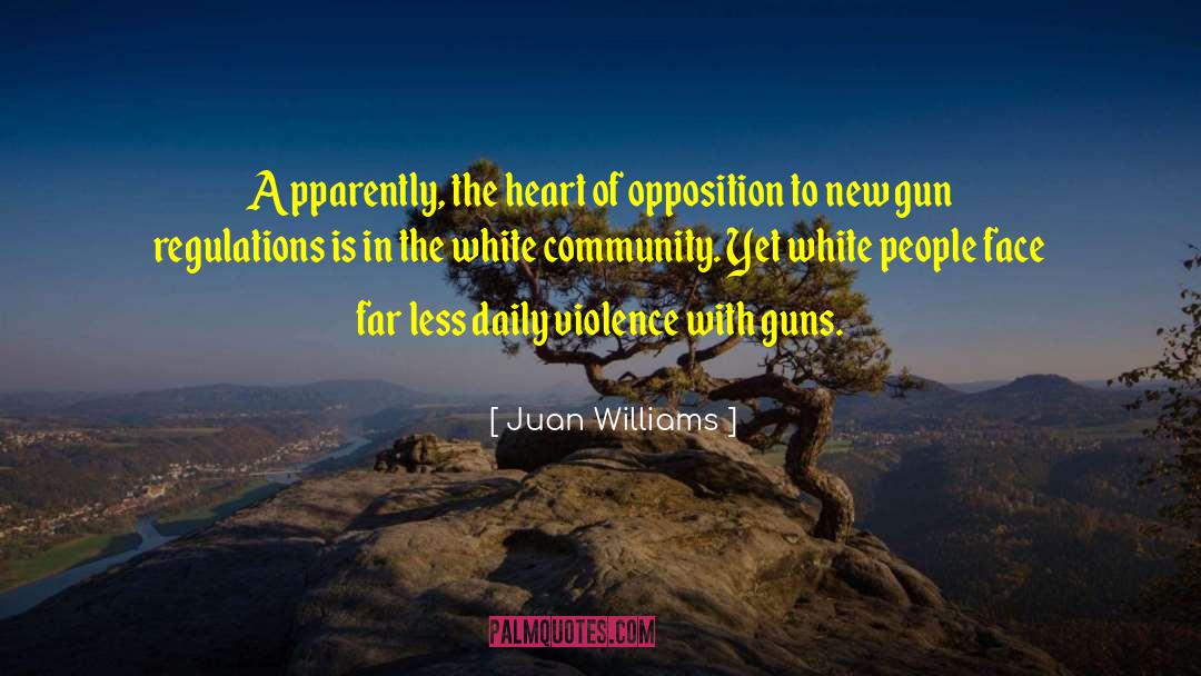 Gun Regulations quotes by Juan Williams