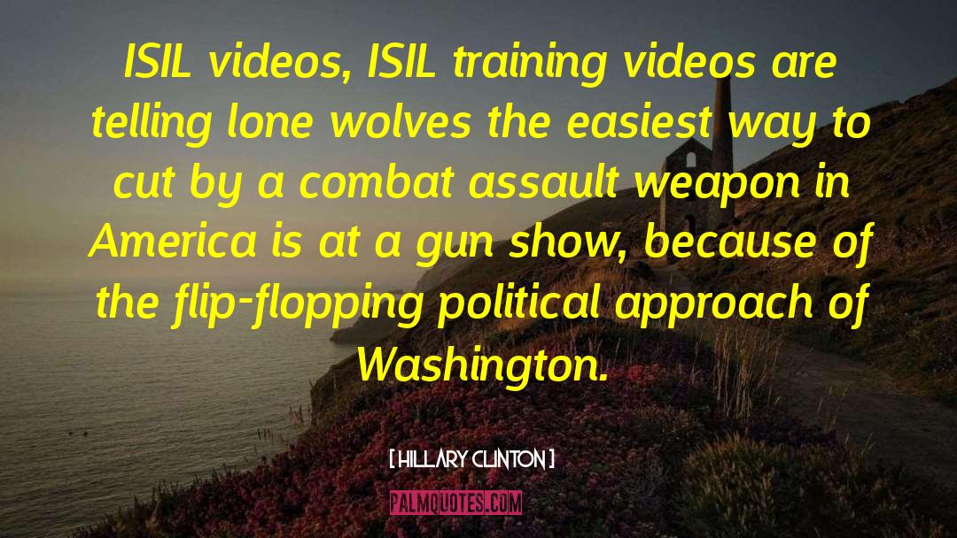 Gun Show Loophole quotes by Hillary Clinton