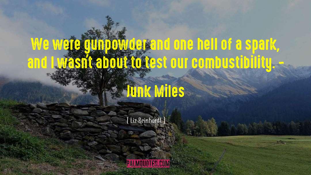 Gunpowder quotes by Liz Reinhardt