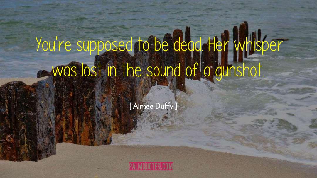 Gunshot quotes by Aimee Duffy