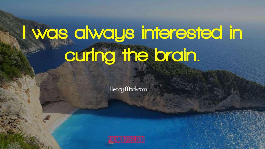 Gut Brain quotes by Henry Markram