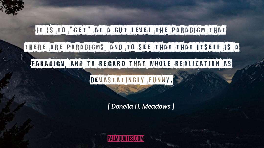 Gut Feelings quotes by Donella H. Meadows
