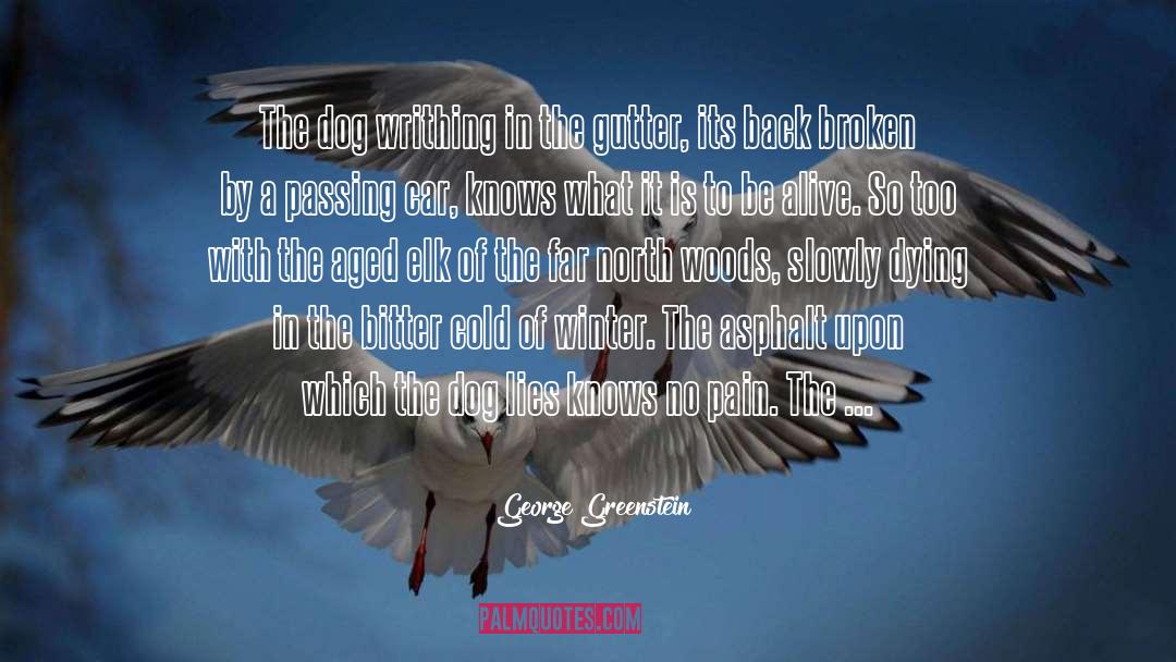 Gutters quotes by George Greenstein