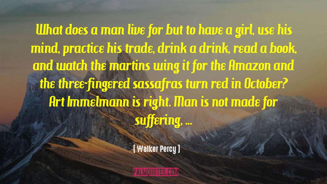 Guys Treating A Girl Right quotes by Walker Percy
