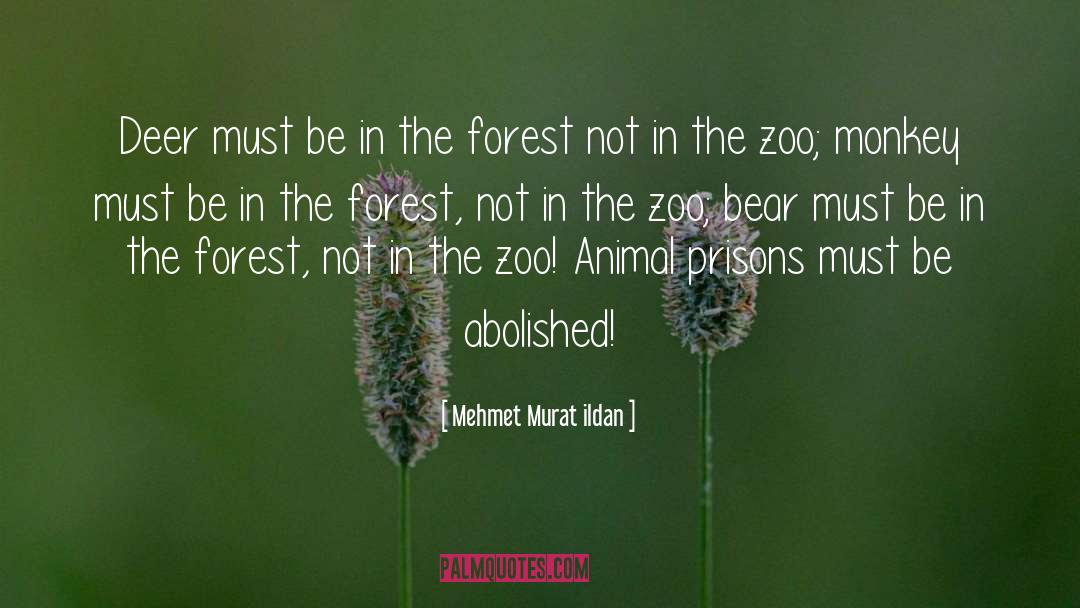 Gw Zoo quotes by Mehmet Murat Ildan