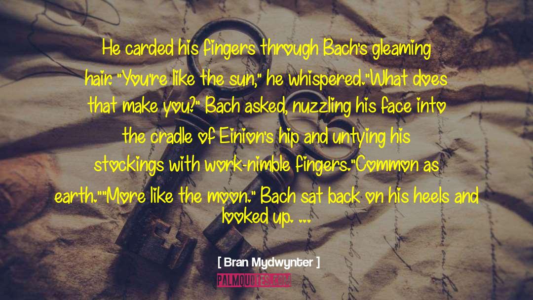 Gwion Bach quotes by Bran Mydwynter
