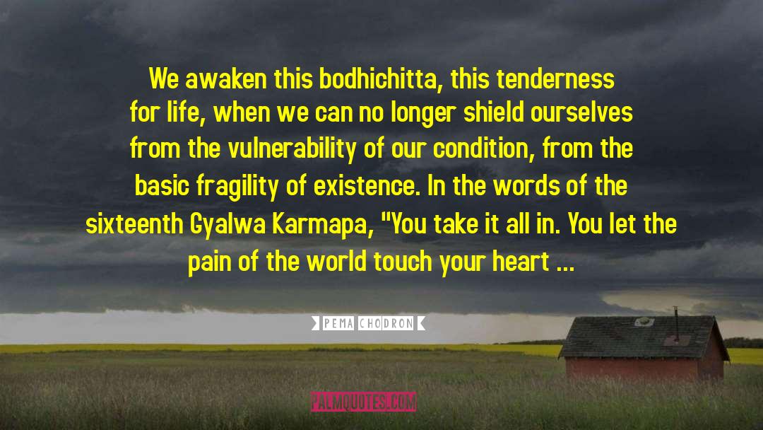 Gyalwa Karmapa quotes by Pema Chodron