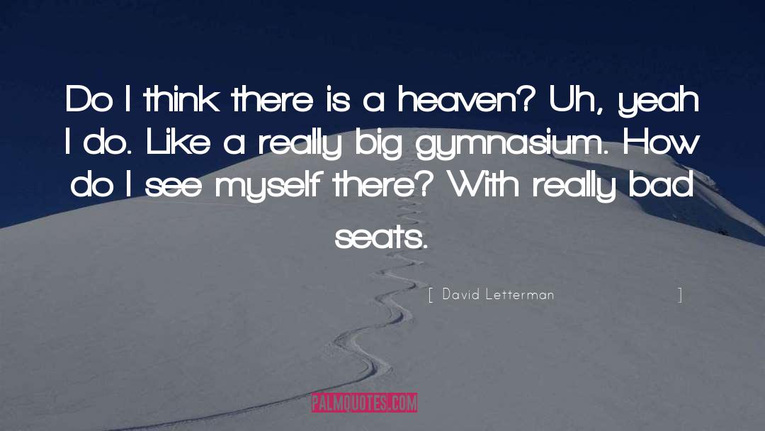 Gymnasiums quotes by David Letterman