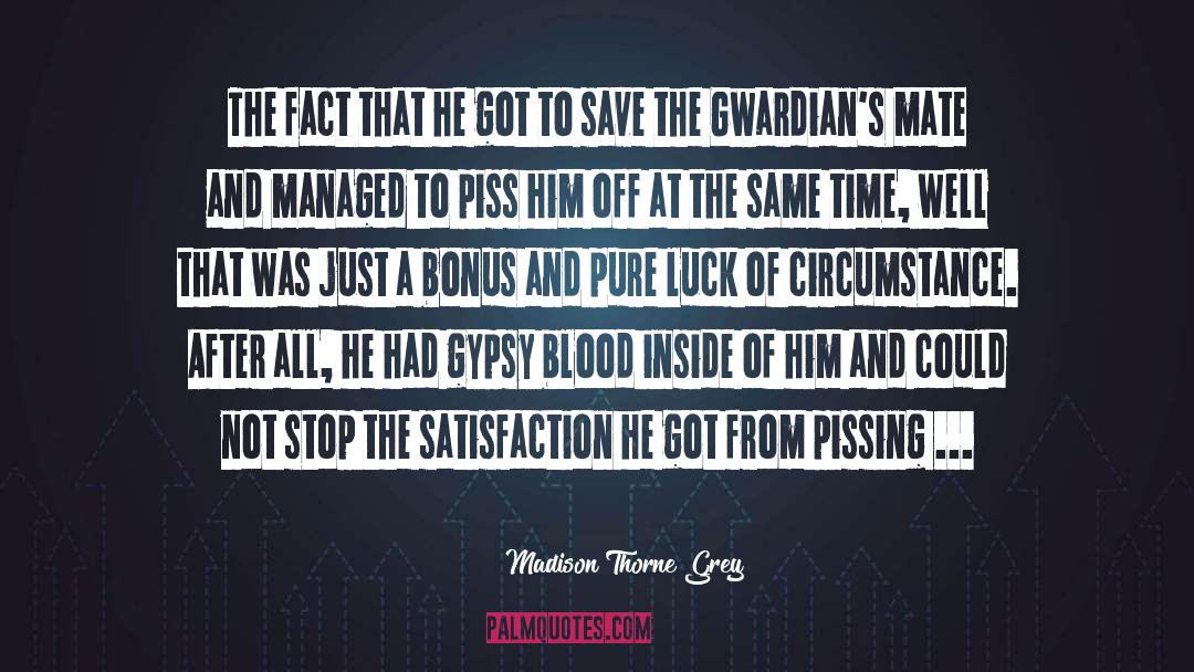 Gypsies quotes by Madison Thorne Grey