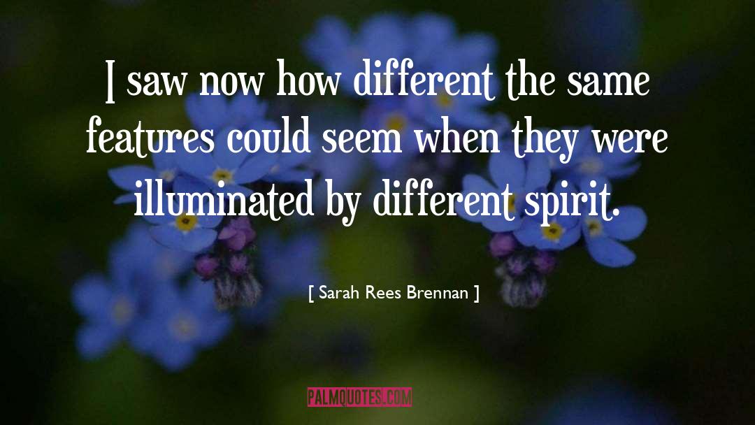 Gypsy Spirit quotes by Sarah Rees Brennan