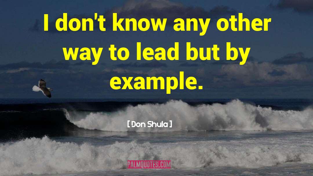 H3 Leadership quotes by Don Shula