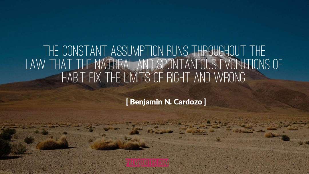 Habit quotes by Benjamin N. Cardozo