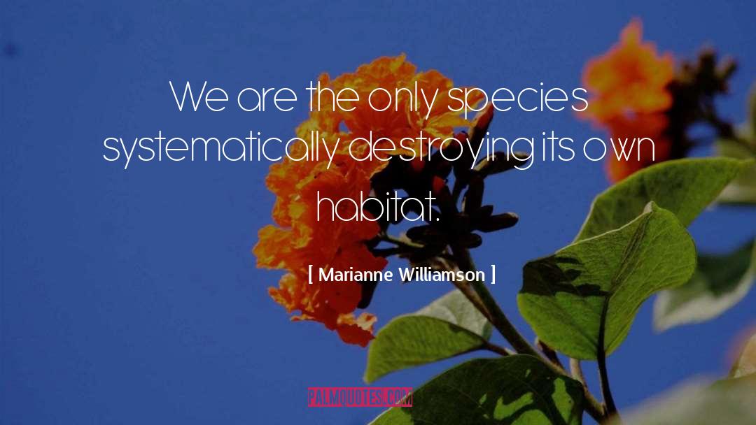 Habitat quotes by Marianne Williamson