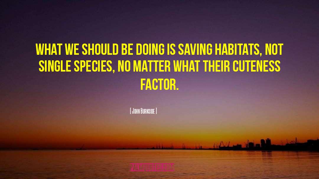 Habitats quotes by John Burnside