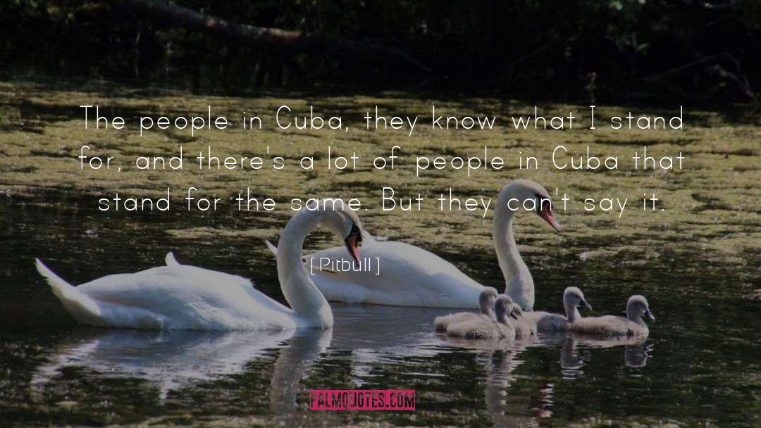 Hacemos Cuba quotes by Pitbull