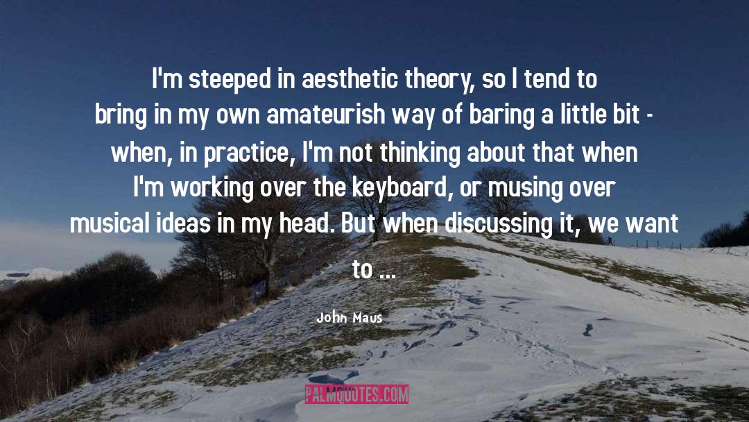 Hack Music Theory quotes by John Maus