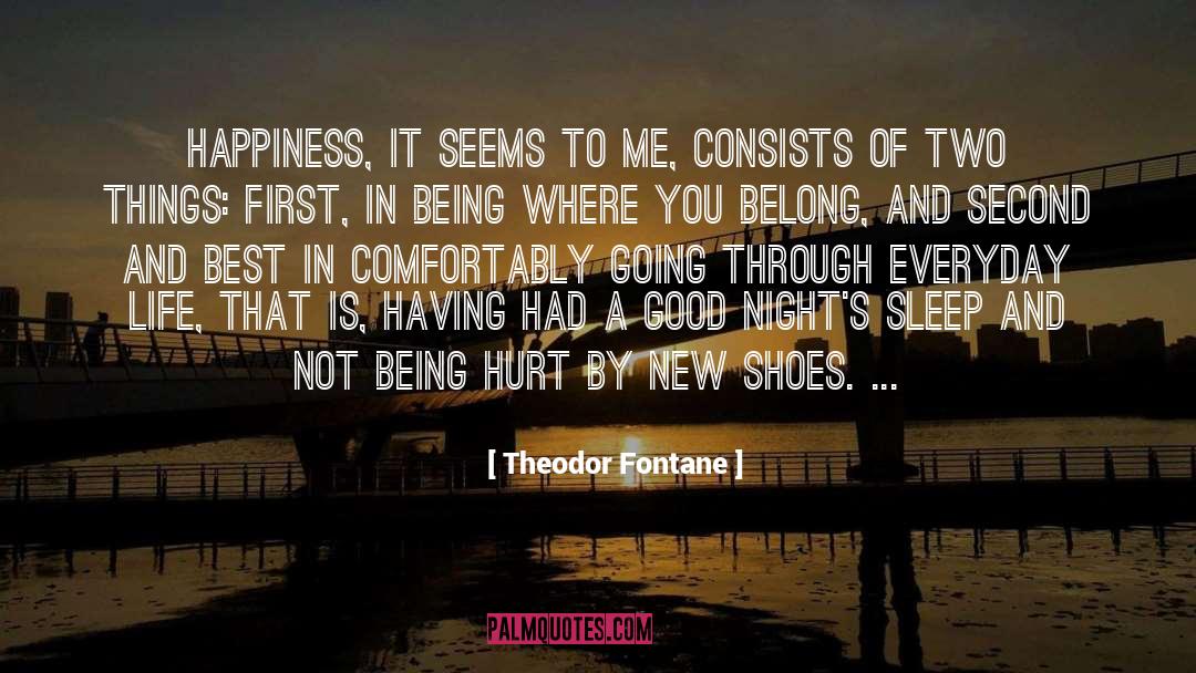 Had A Good Night quotes by Theodor Fontane
