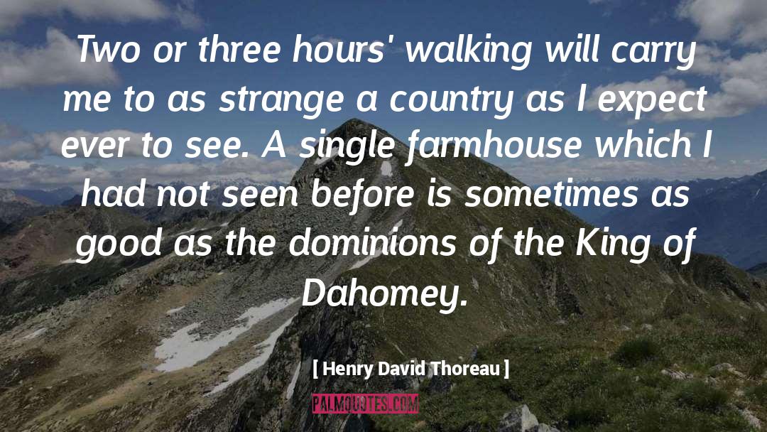 Had A Good Time quotes by Henry David Thoreau