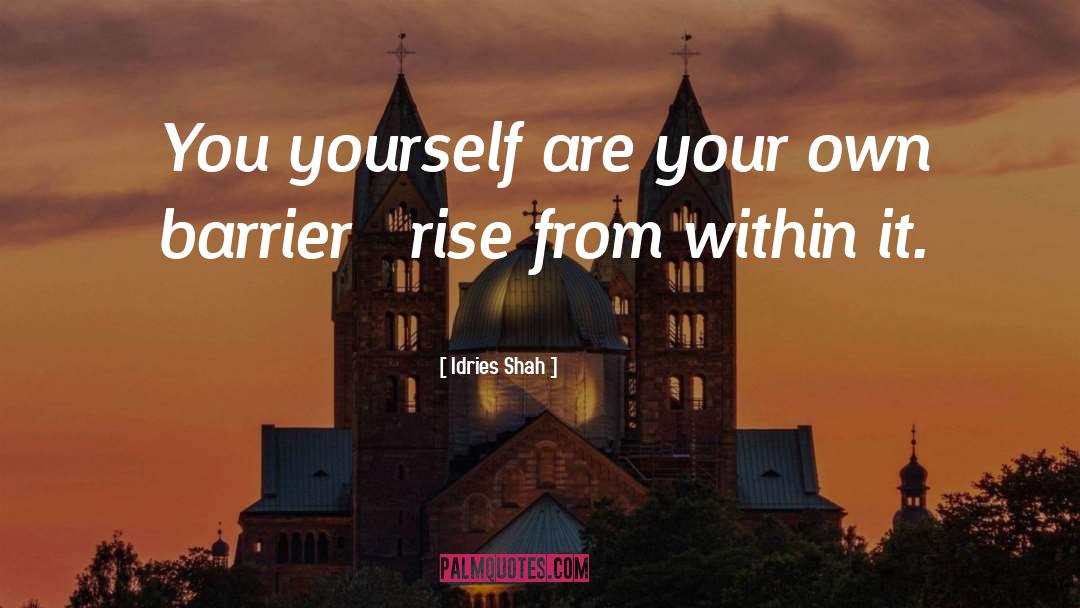 Hafiz quotes by Idries Shah