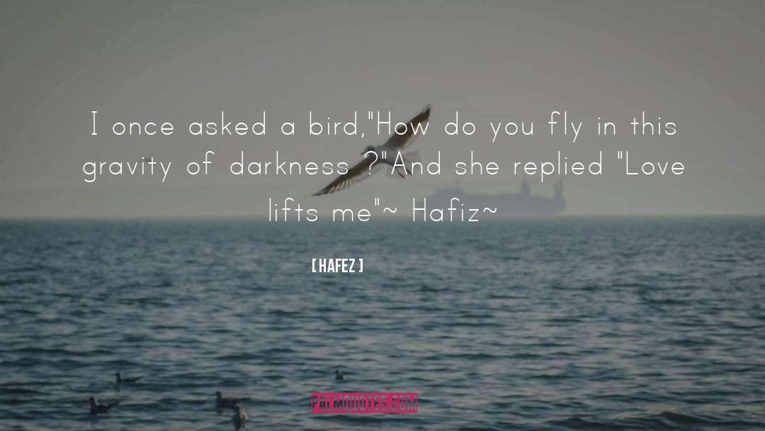 Hafiz quotes by Hafez