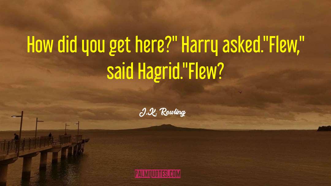 Hagrid quotes by J.K. Rowling