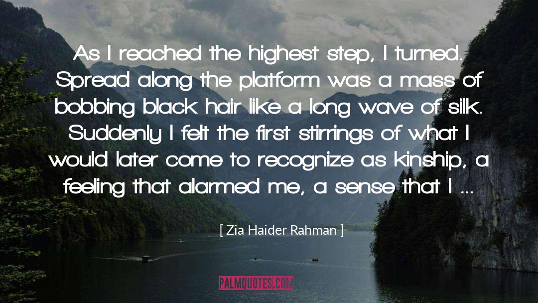 Haider quotes by Zia Haider Rahman