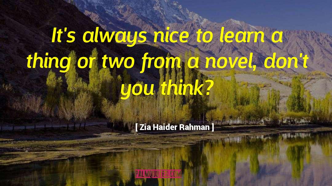 Haider quotes by Zia Haider Rahman