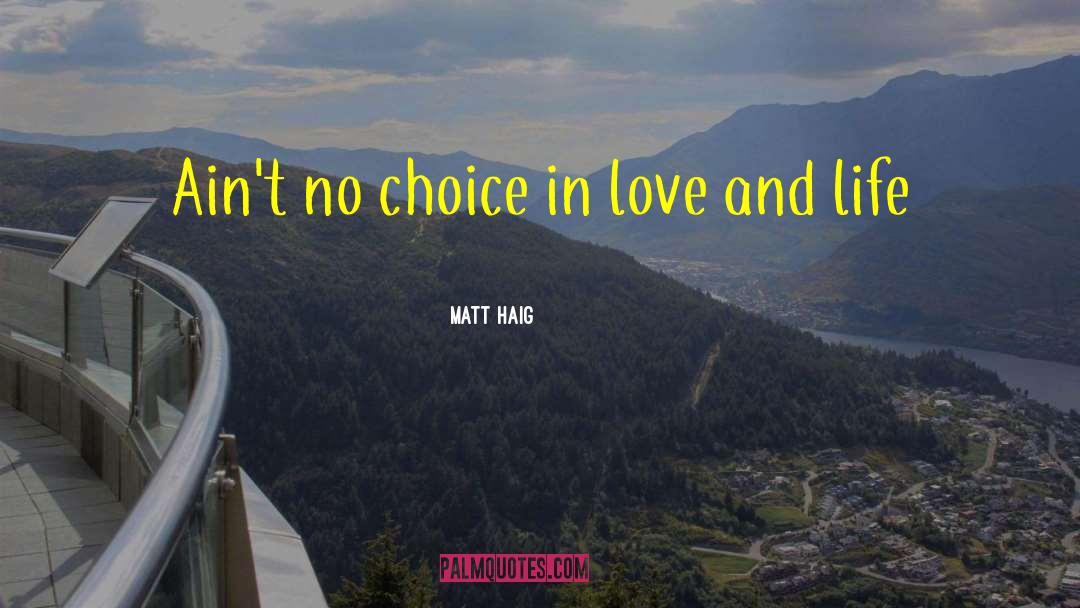 Haig quotes by Matt Haig