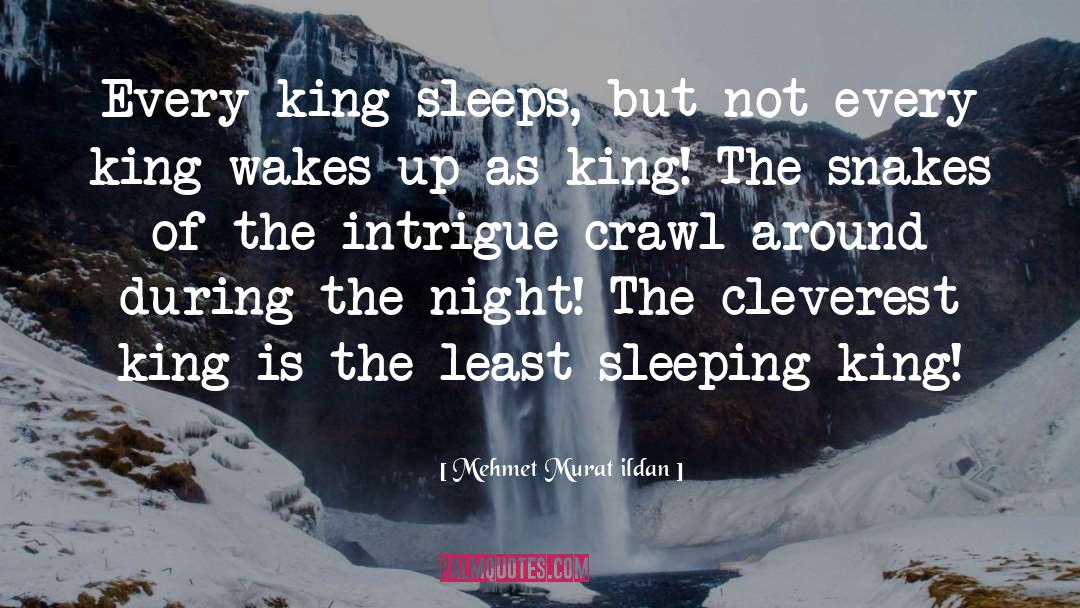 Hail To The King Baby quotes by Mehmet Murat Ildan