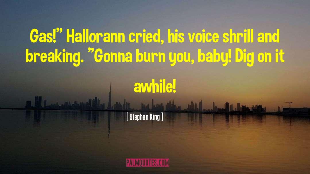 Hail To The King Baby quotes by Stephen King